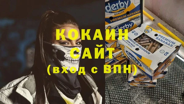 дмт Лагань