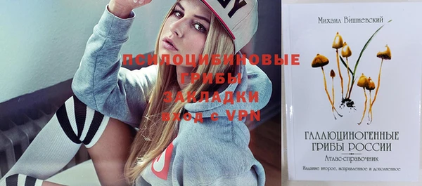 МДПВ Абаза