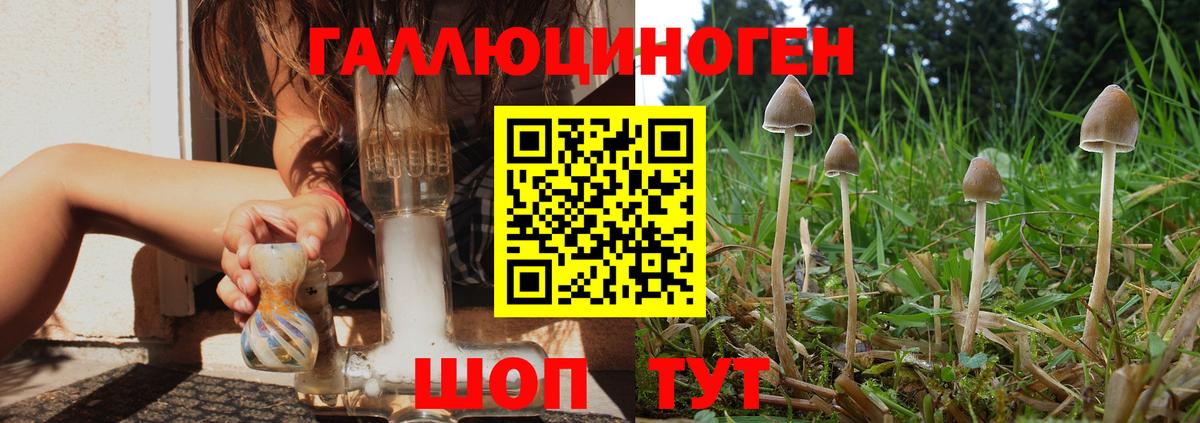 Одинцово  Галлюциногенные грибы GOLDEN TEACHER  Вход с VPN 